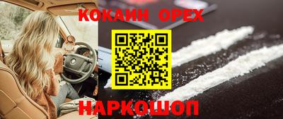 мяу мяу мука Кандалакша