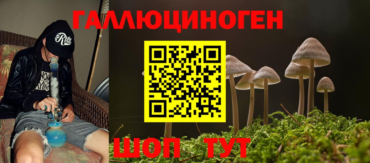 Псилоцибиновые грибы мицелий  Вход с VPN  даркнет сайт  Красноярск 
